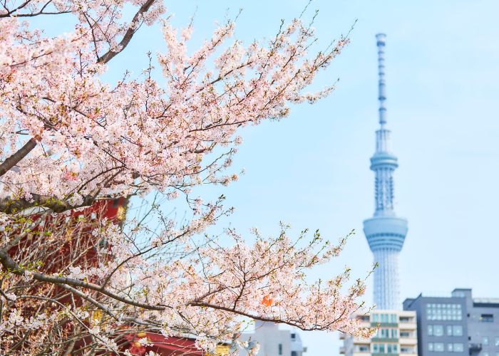 Business Class Flights to Tokyo