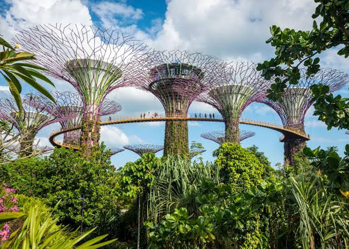 Business Class Flights to Singapore