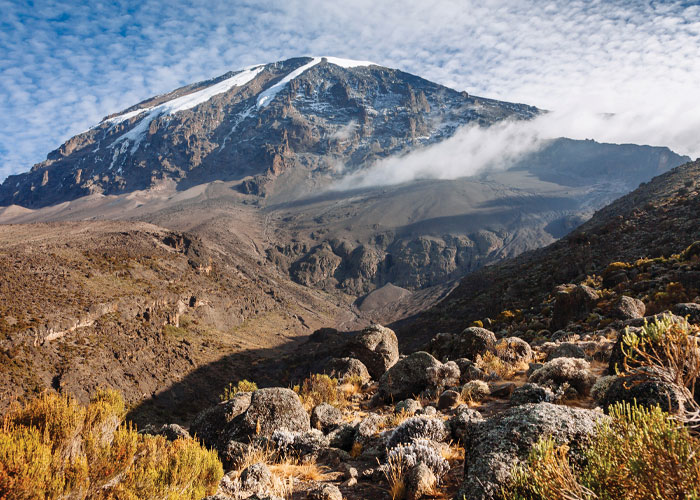 Business Class Flights to Kilimanjaro