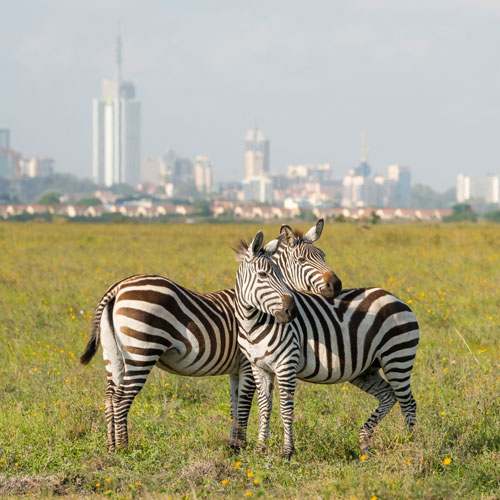 Nairobi