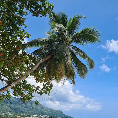 Mahe Island