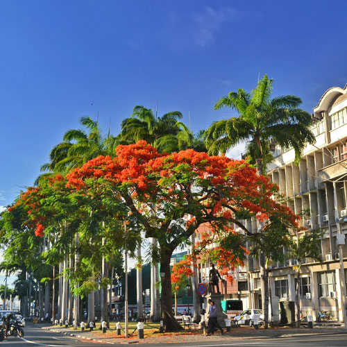Port Louis
